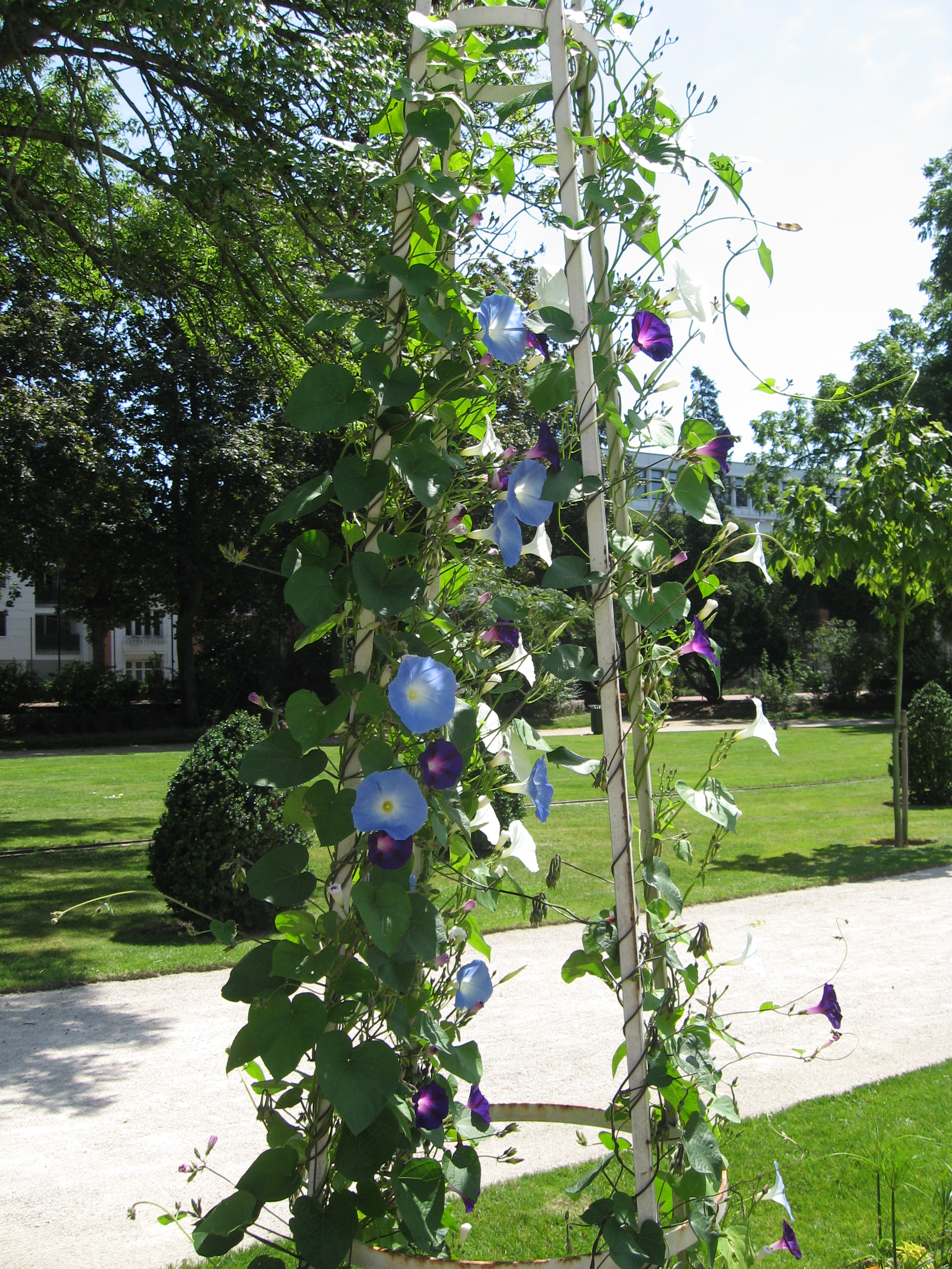 Parc Louis Pasteur, Orléans - photo 26