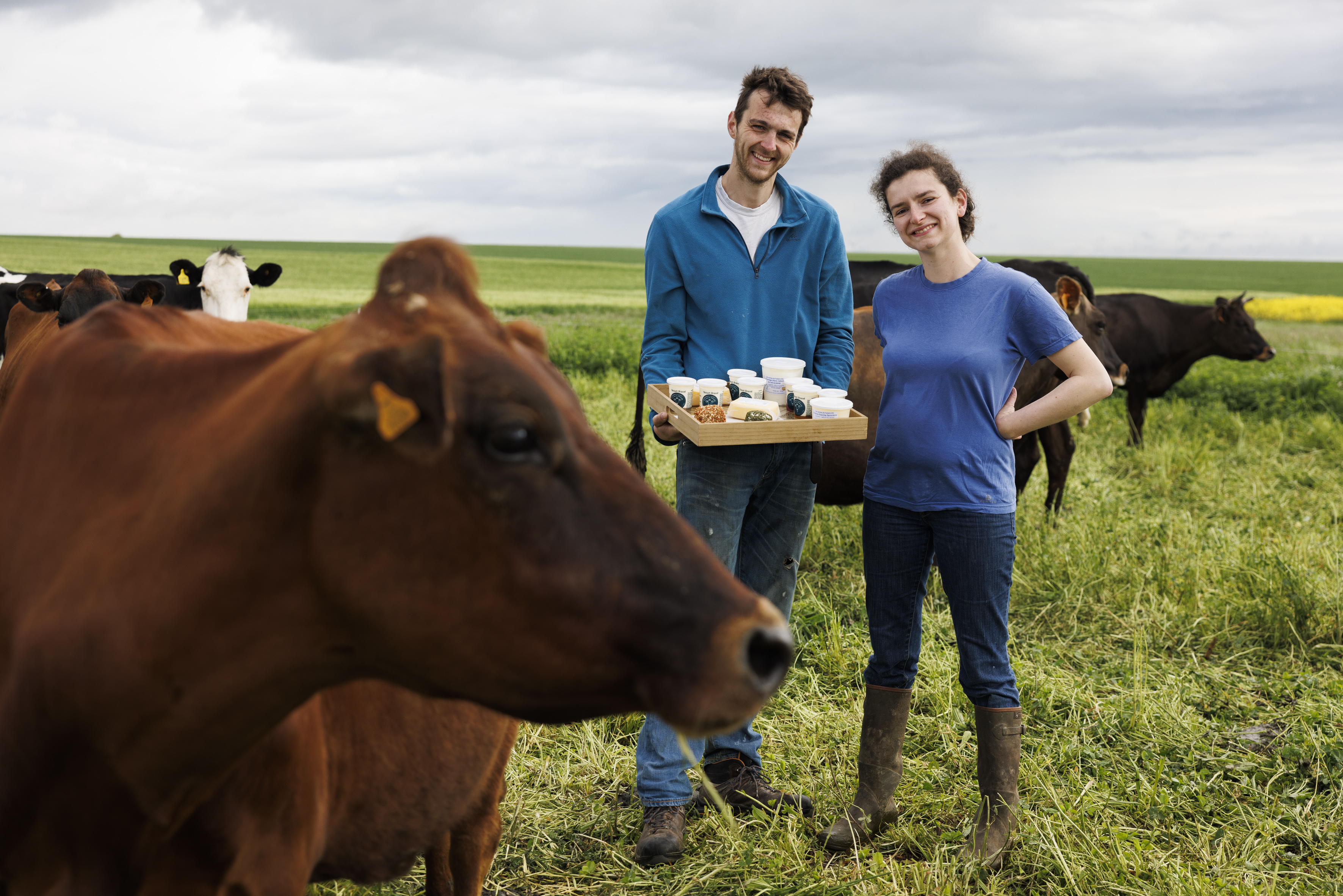 Les Vaches de Fadainville