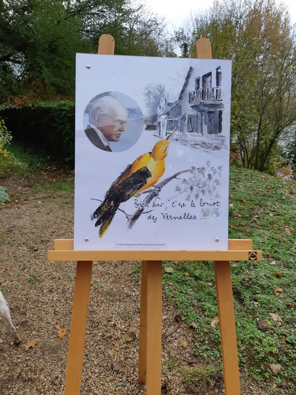 Boucle 18 - Dans les pas de Maurice Genevoix, Saint-Denis-de-l'Hôtel - photo 12