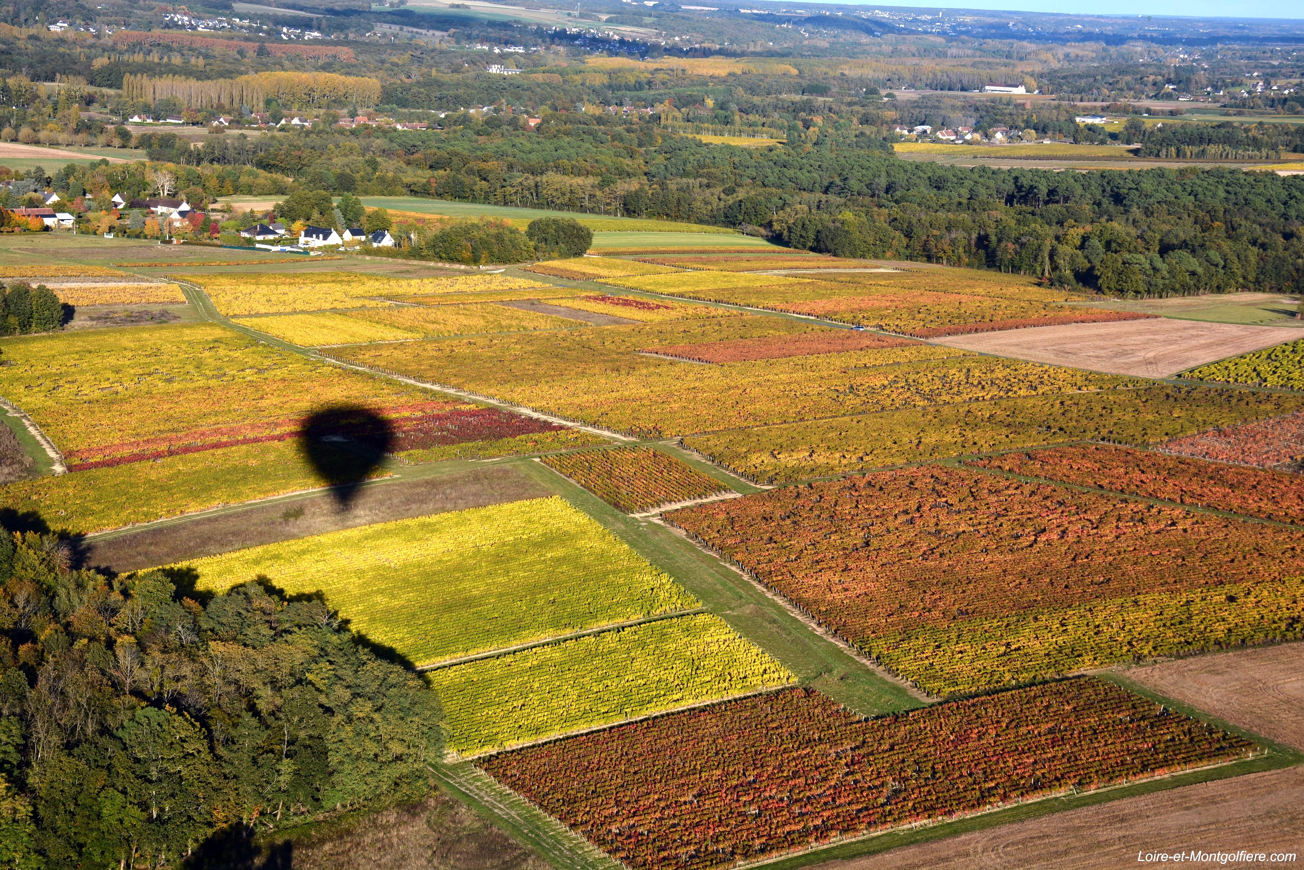 Touraine, Terre d'Envol / Loire et Montgolfière, Angé - photo 5