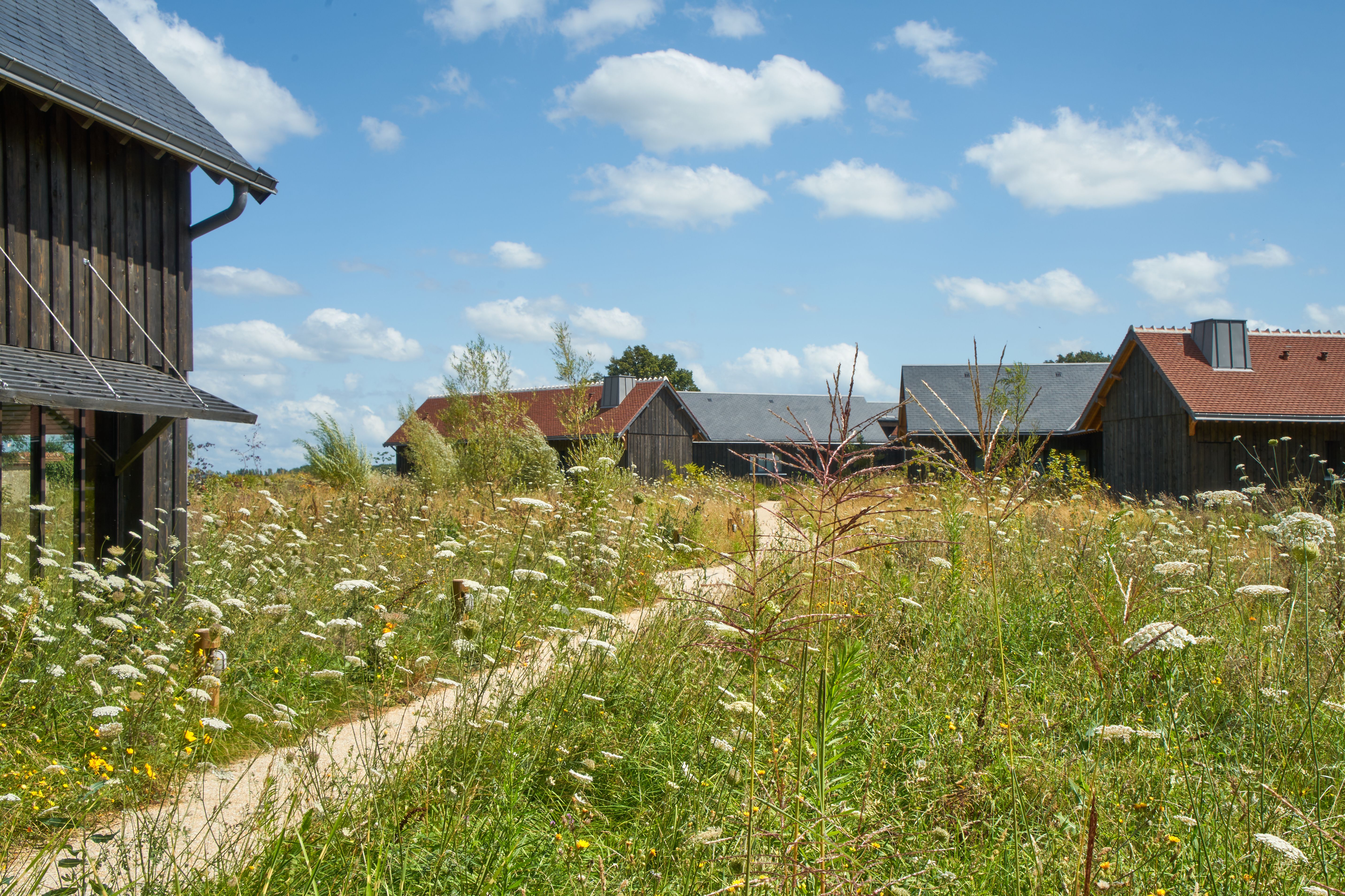 Les Sources de Cheverny, Cheverny