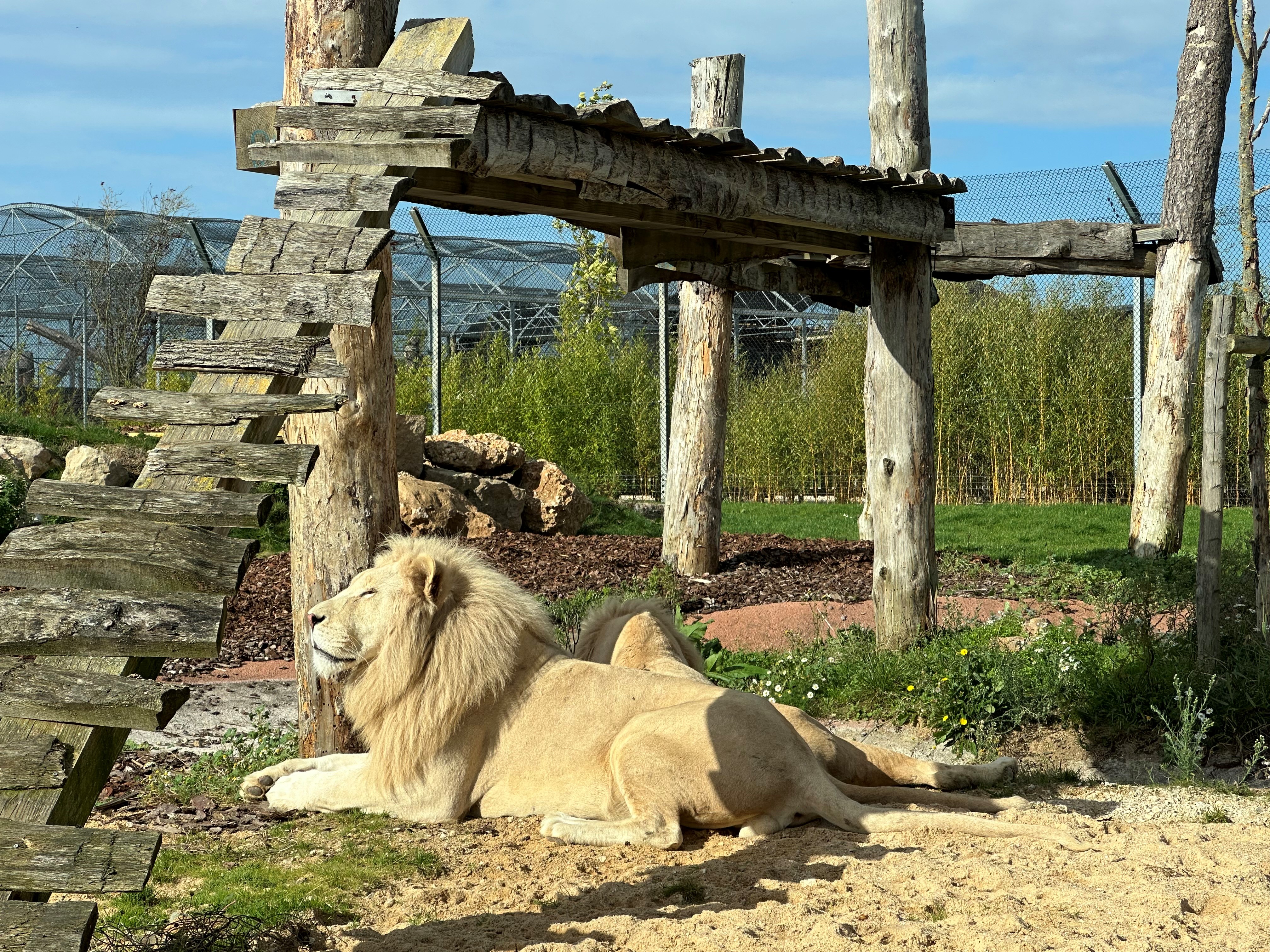 Refuge La Tanière, Nogent-le-Phaye - photo 18
