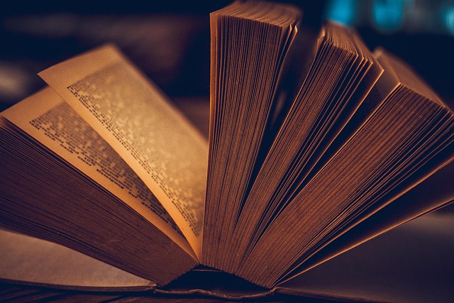 Lecture : "La Divine Comédie" de Dante
