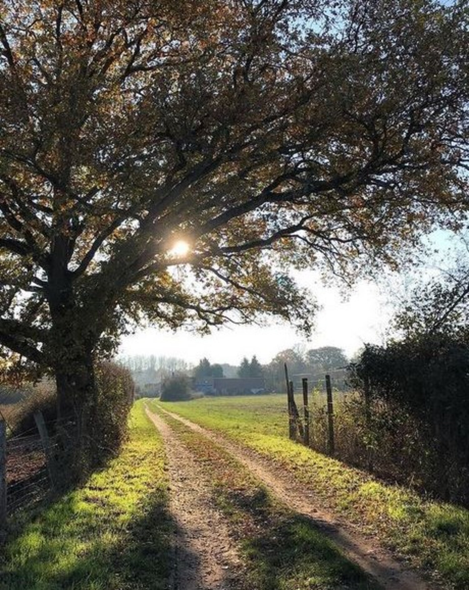 Le circuit Loire et forêt, Dry - photo 4