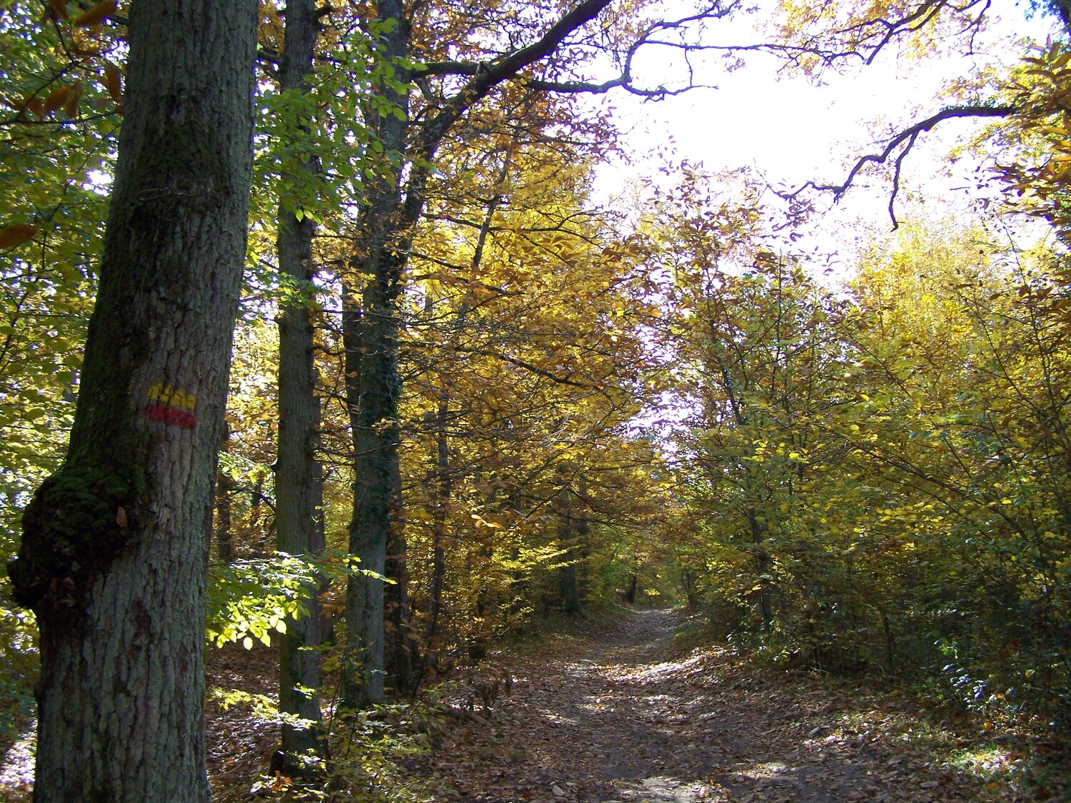 Le circuit Loire et forêt, Dry - photo 2