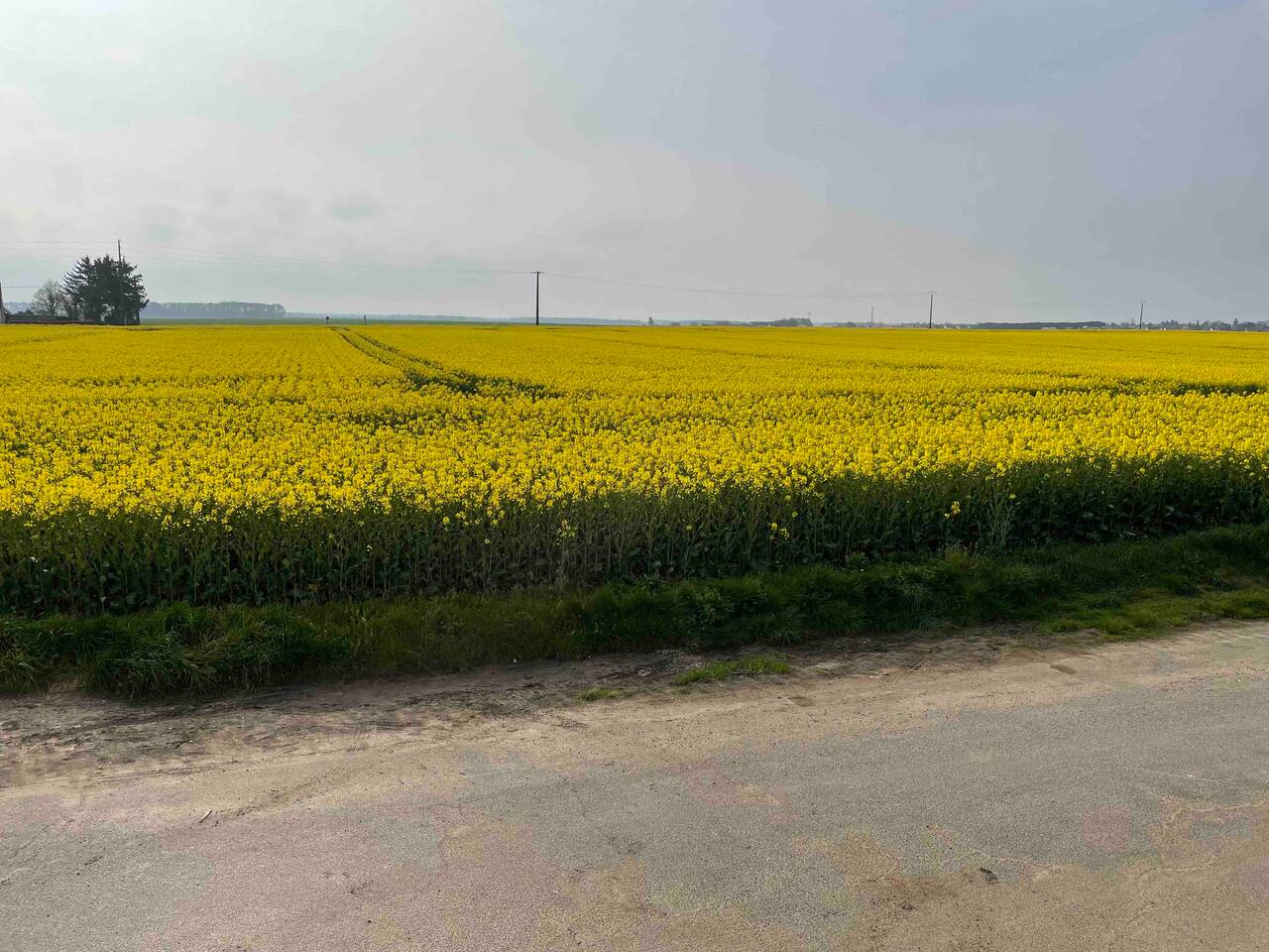 Love and Chic, Épieds-en-Beauce - photo 3