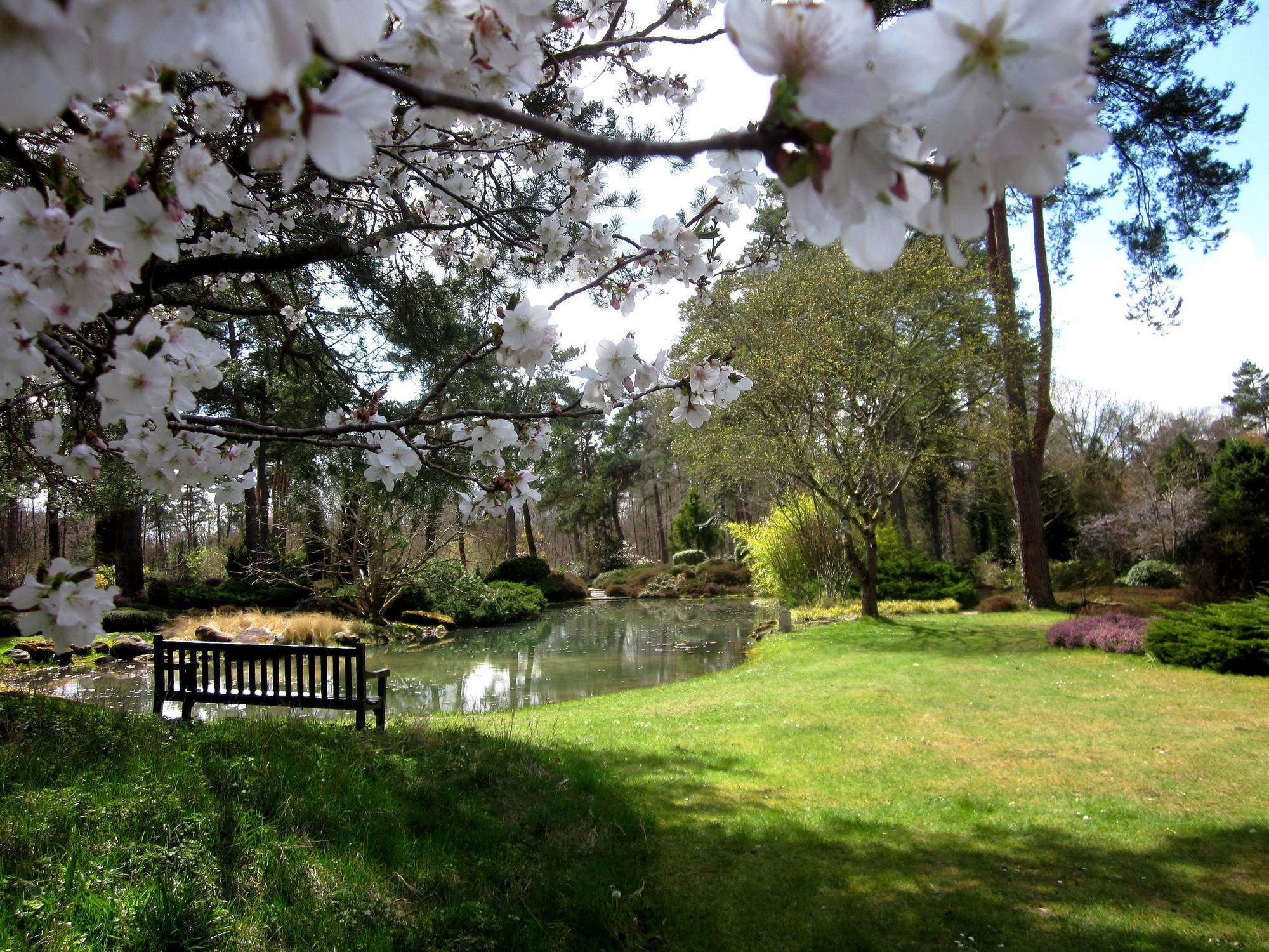 Arboretum des Grandes Bruyères, Ingrannes - photo 5