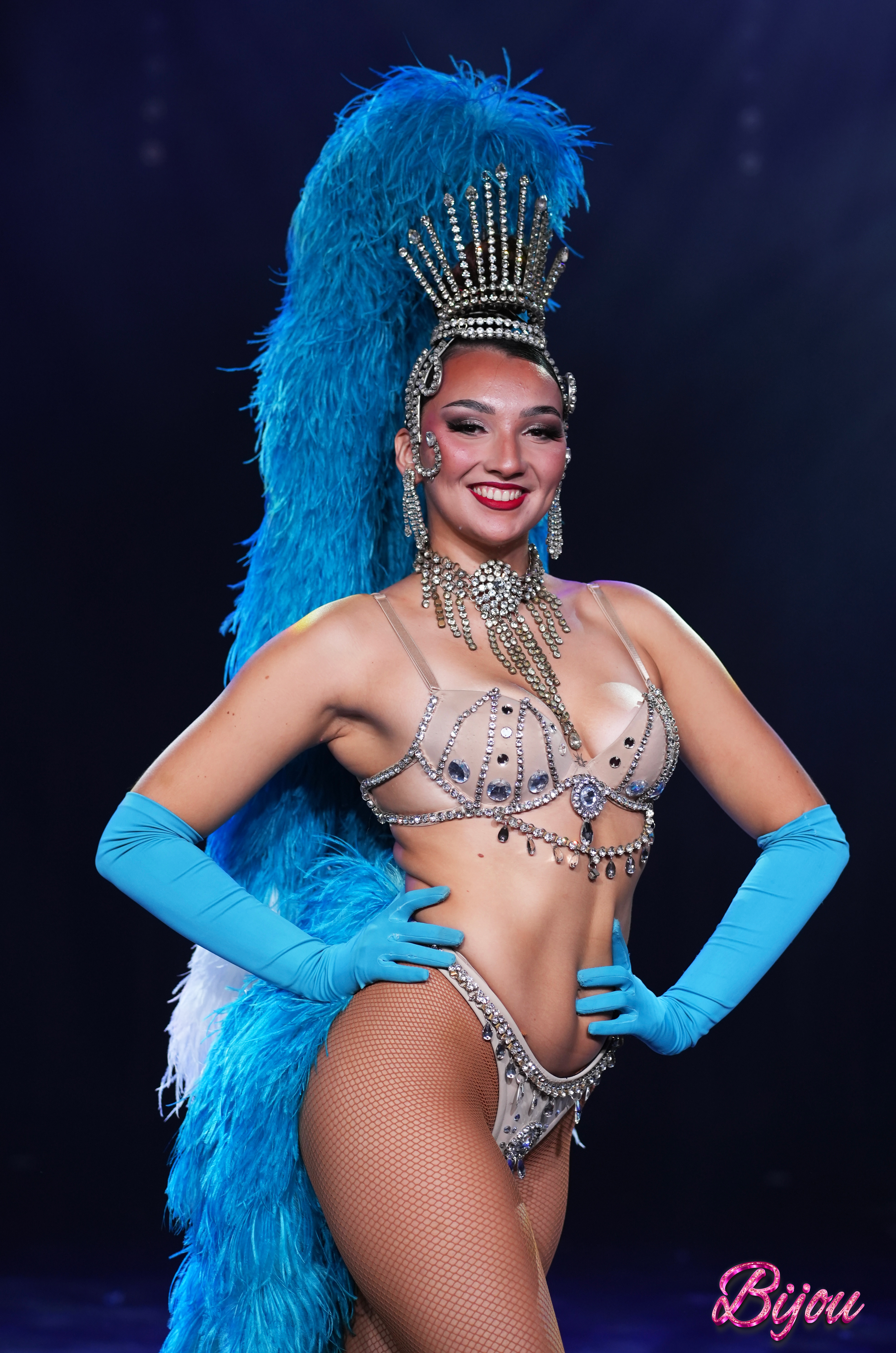 LE DIAMANT BLEU, Barville-en-Gâtinais - photo 10