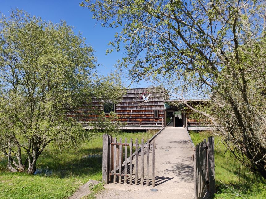 Balade à pied n°60 - La balade de l'étang du Couvent, Saint-Michel-en-Brenne - photo 2