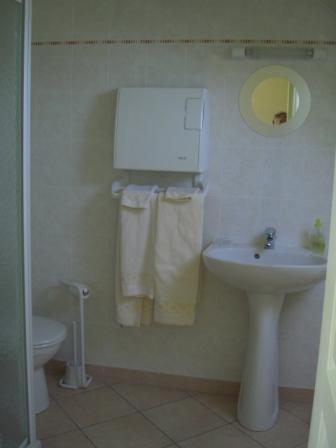 Meublé 1 à la ferme de La Poterie, Donnery - photo 7