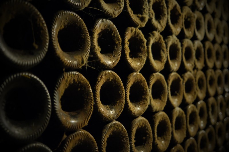 Vignoble Alain Robert — photo 3