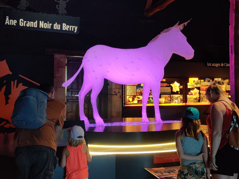 Pôle du Cheval et de l'Âne, La Celle-Condé - photo 7