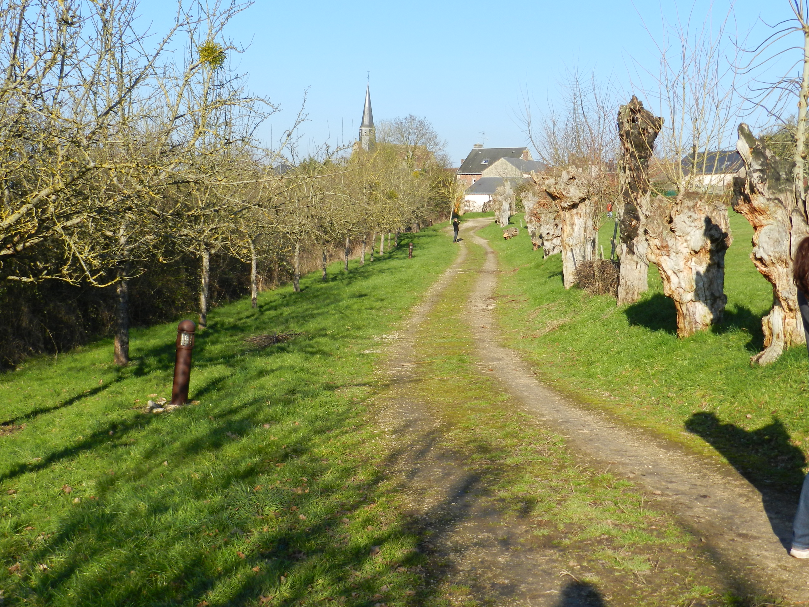 Randonnée pédestre à Boursay