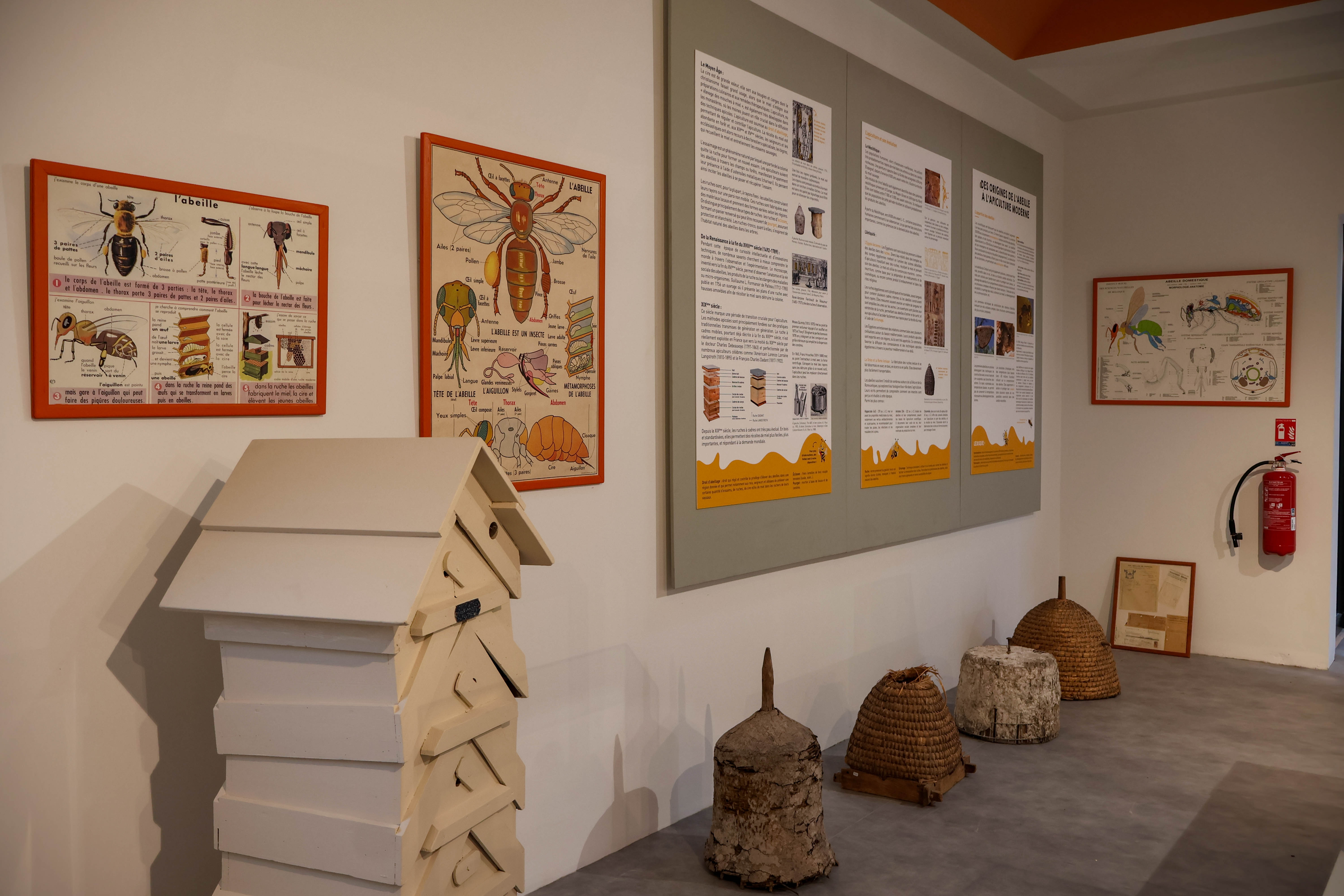 Maison de la Ruche et des Abeilles du Gâtinais, Pannes