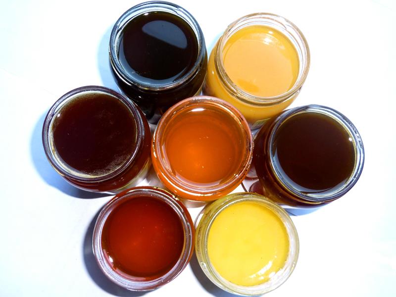Maison des Abeilles, Ingrandes - photo 4