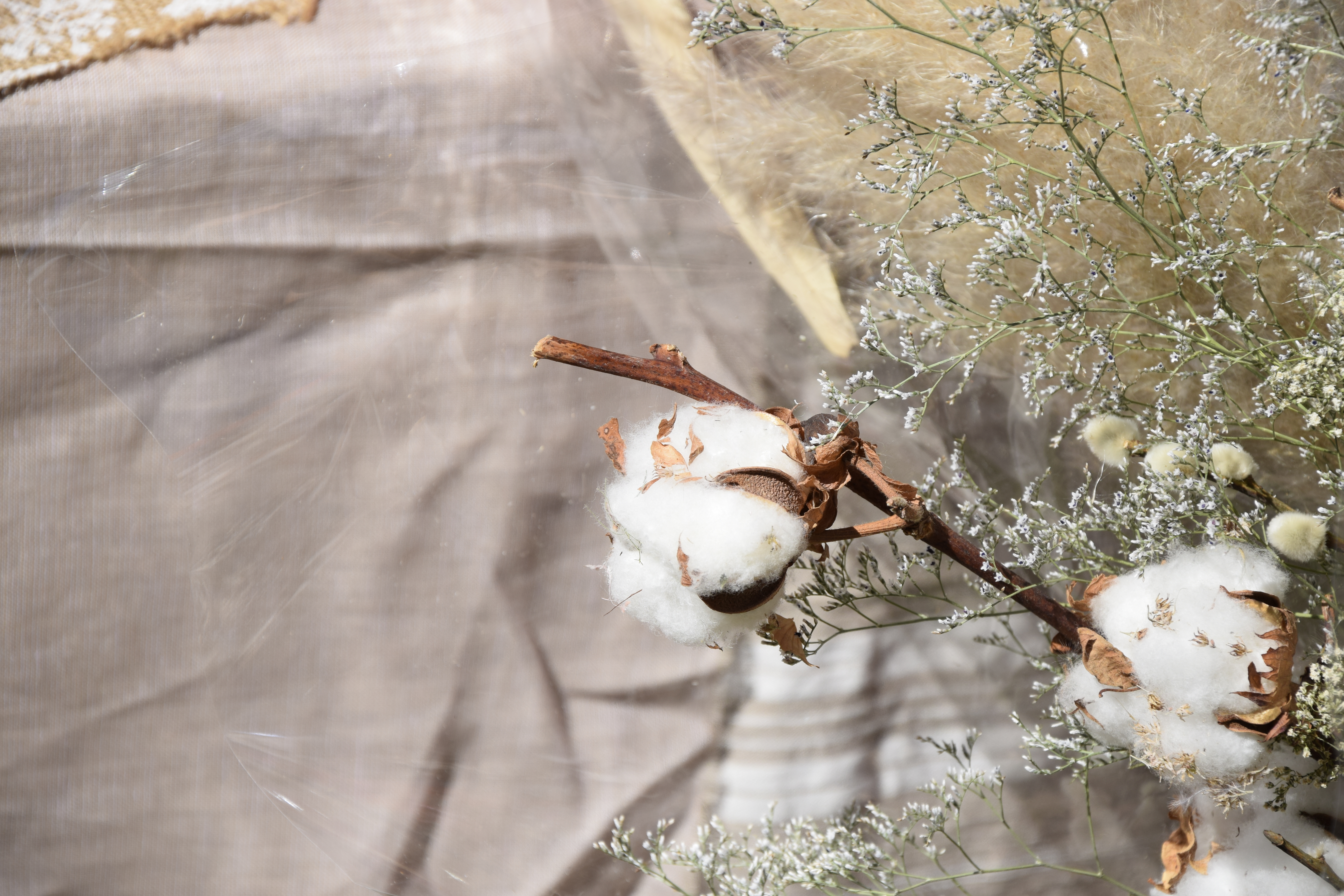 Ombellifere, Vrigny - photo 2