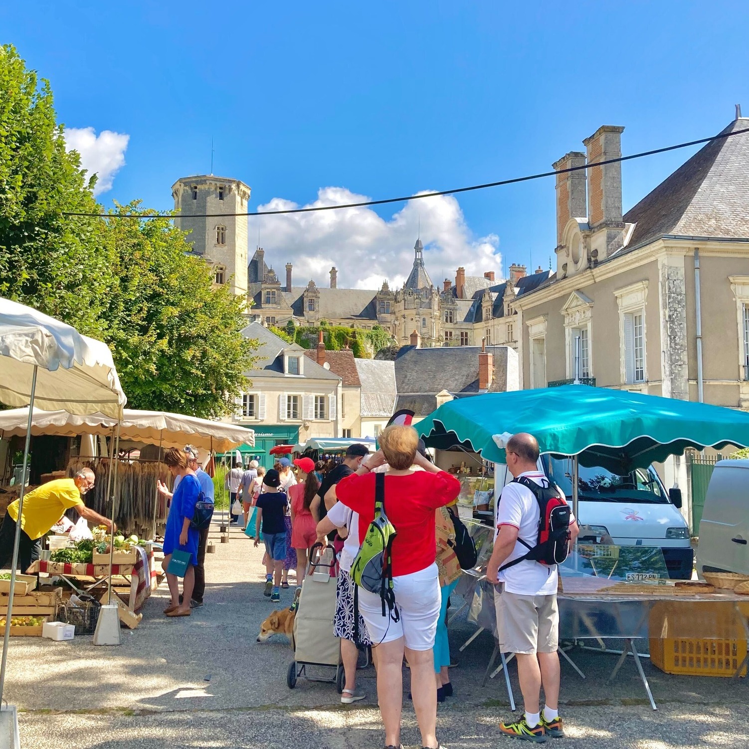Marché hebdomadaire de Saint-Aignan, Saint-Aignan - photo 2