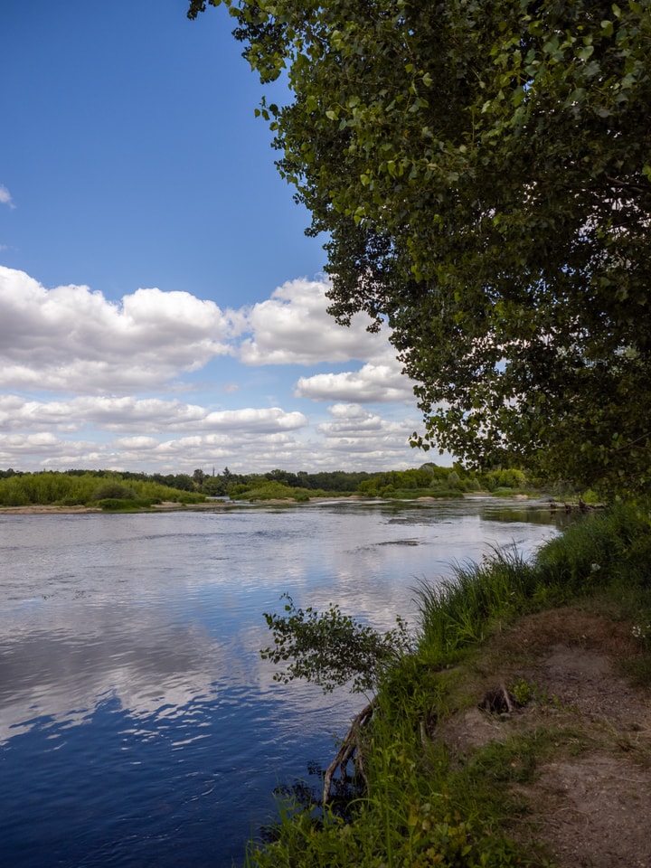 Apéro-conférence : Préserver la biodiversité en bord de Loire, Meung-sur-Loire