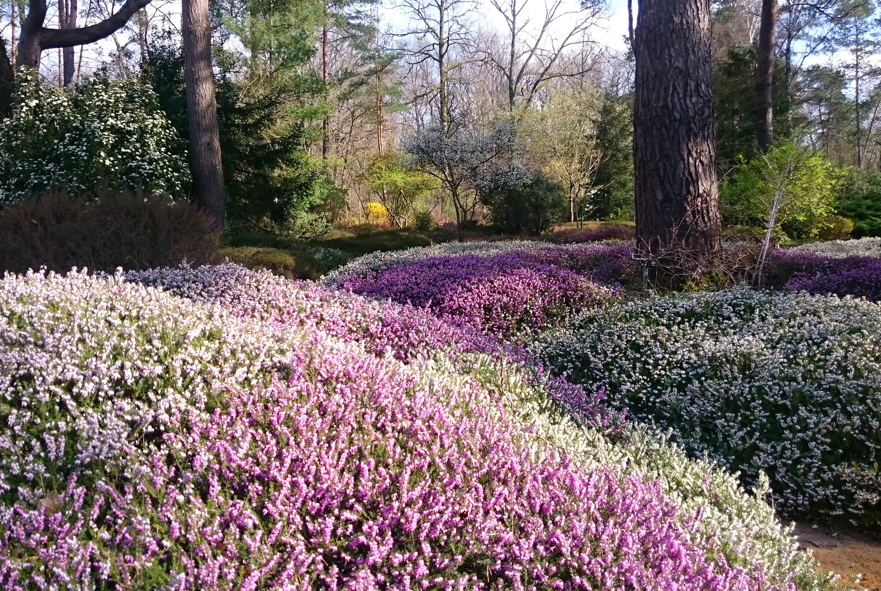 Bienvenue à l'Arboretum - photo 5