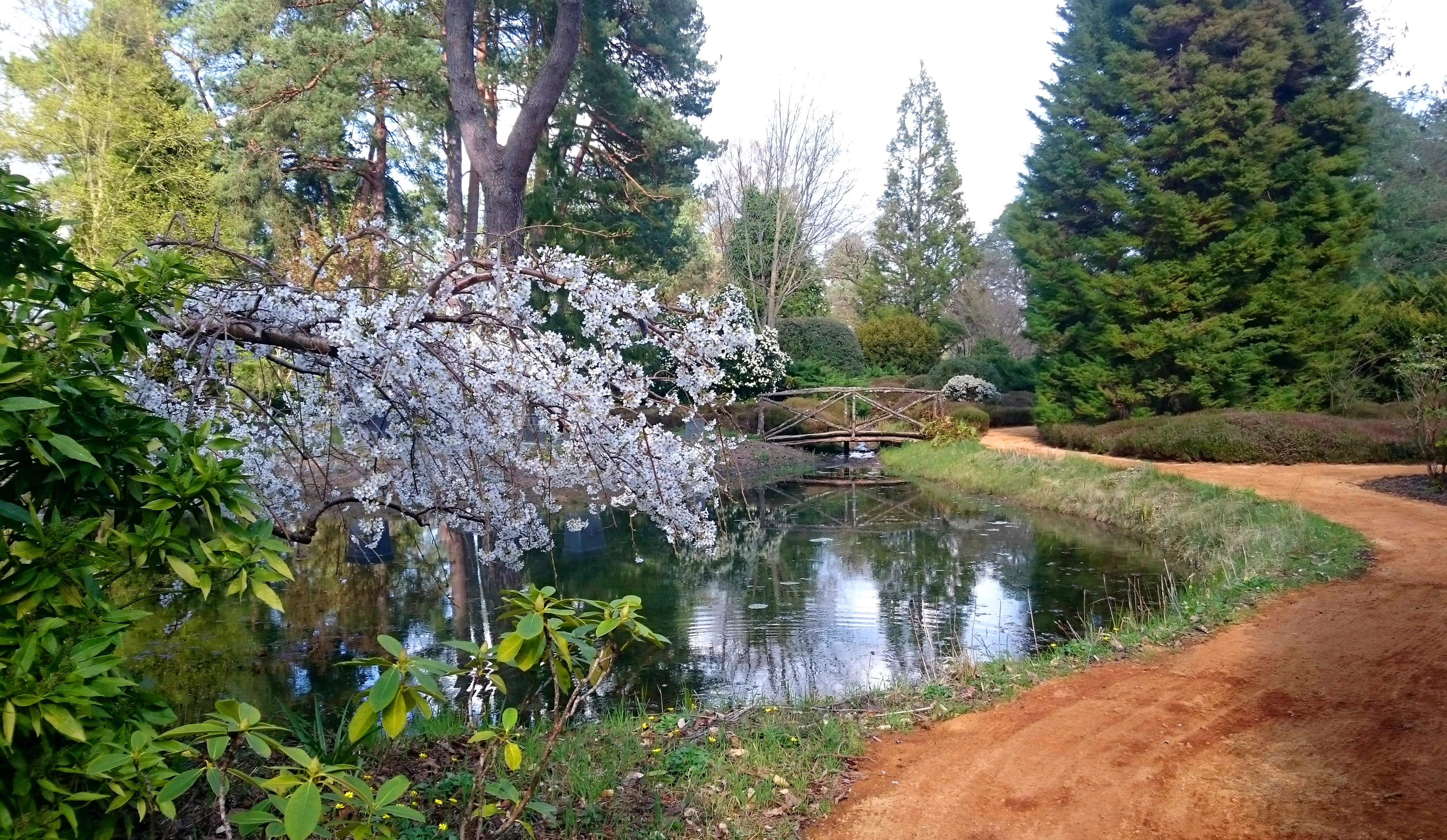 Bienvenue à l'Arboretum - photo 4