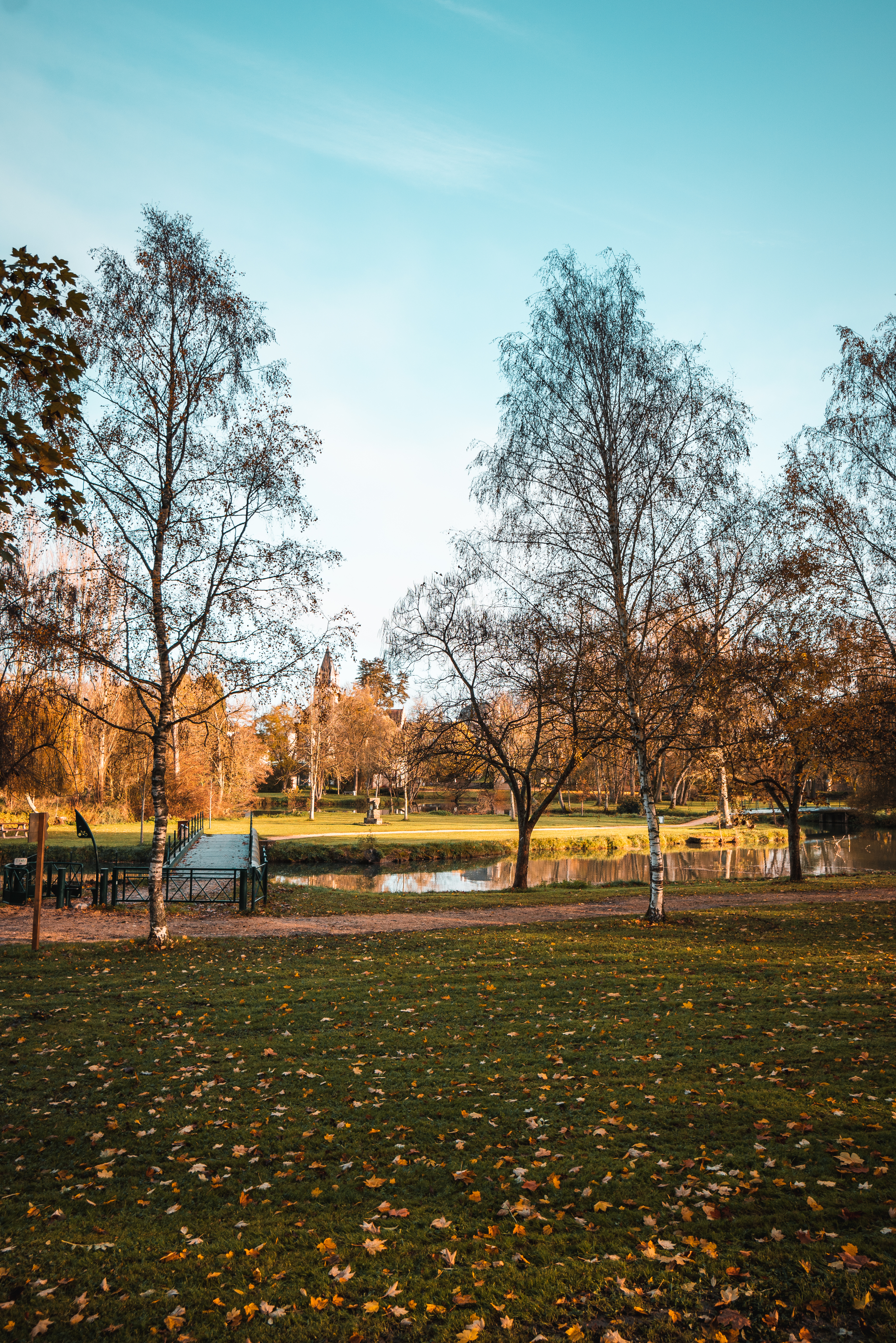 Aire de Pique-Nique - Jardin du Duc Jean de Berry, Mehun-sur-Yèvre - photo 4