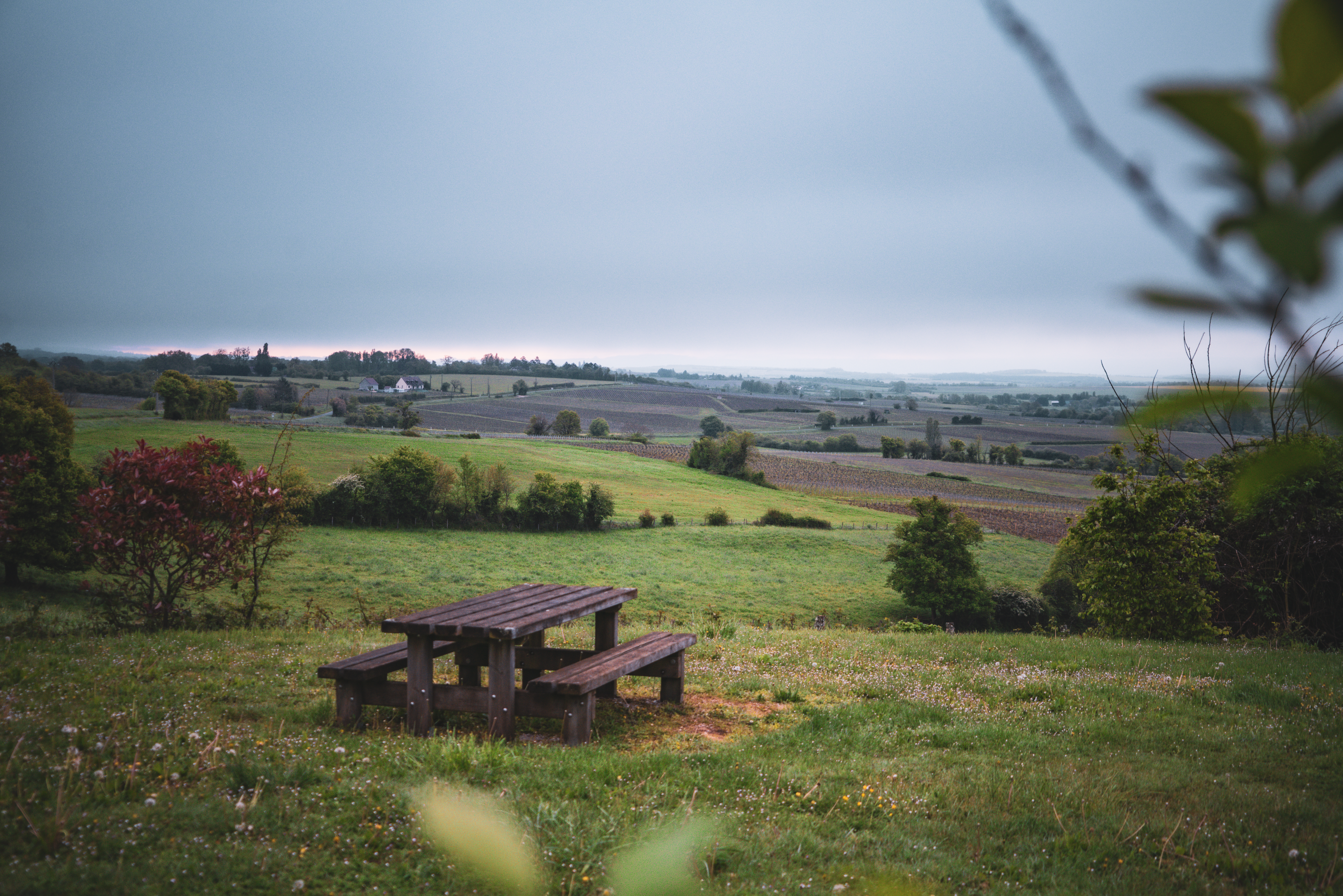 Aire de Pique-Nique du Square Paul Gilbert - Parassy