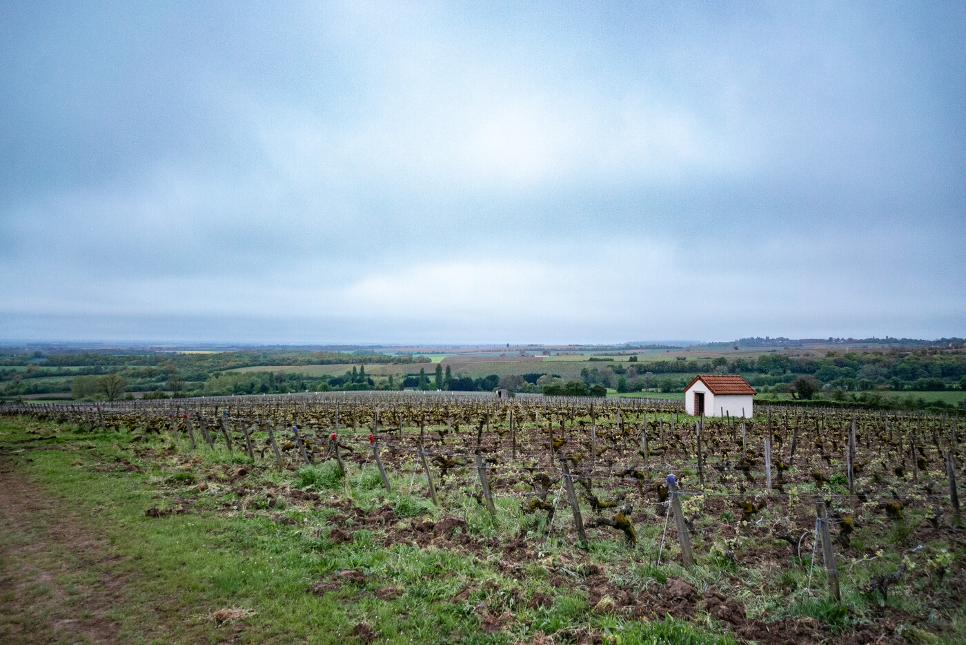 Escapade de Noël : Menetou-Salon – Entre Vignes et Château