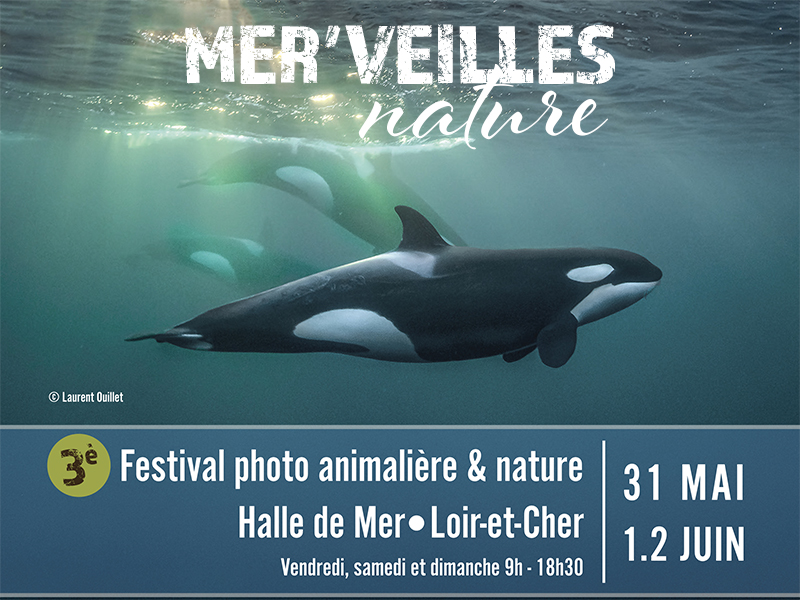 Mer'Veilles nature - Festival photo à Mer (1/1)