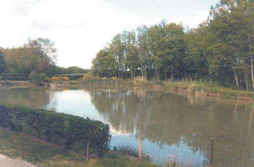 Les Ravineaux n° 6 : La maison de l'étang, Villentrois-Faverolles-en-Berry - photo 8