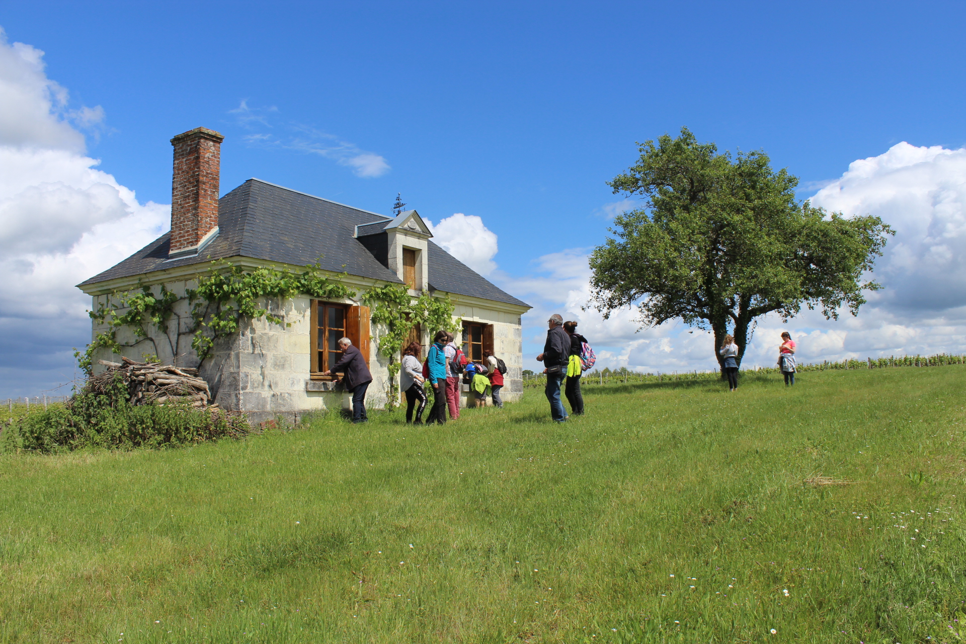 Visites guidées du Pays d'Art et d'Histoire (Cité de Saint-Aignan et alentours), Saint-Aignan - photo 3