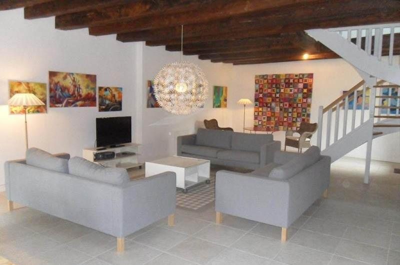 Gîte de la Mignonerie - Château de Jallanges, Vernou-sur-Brenne - photo 7