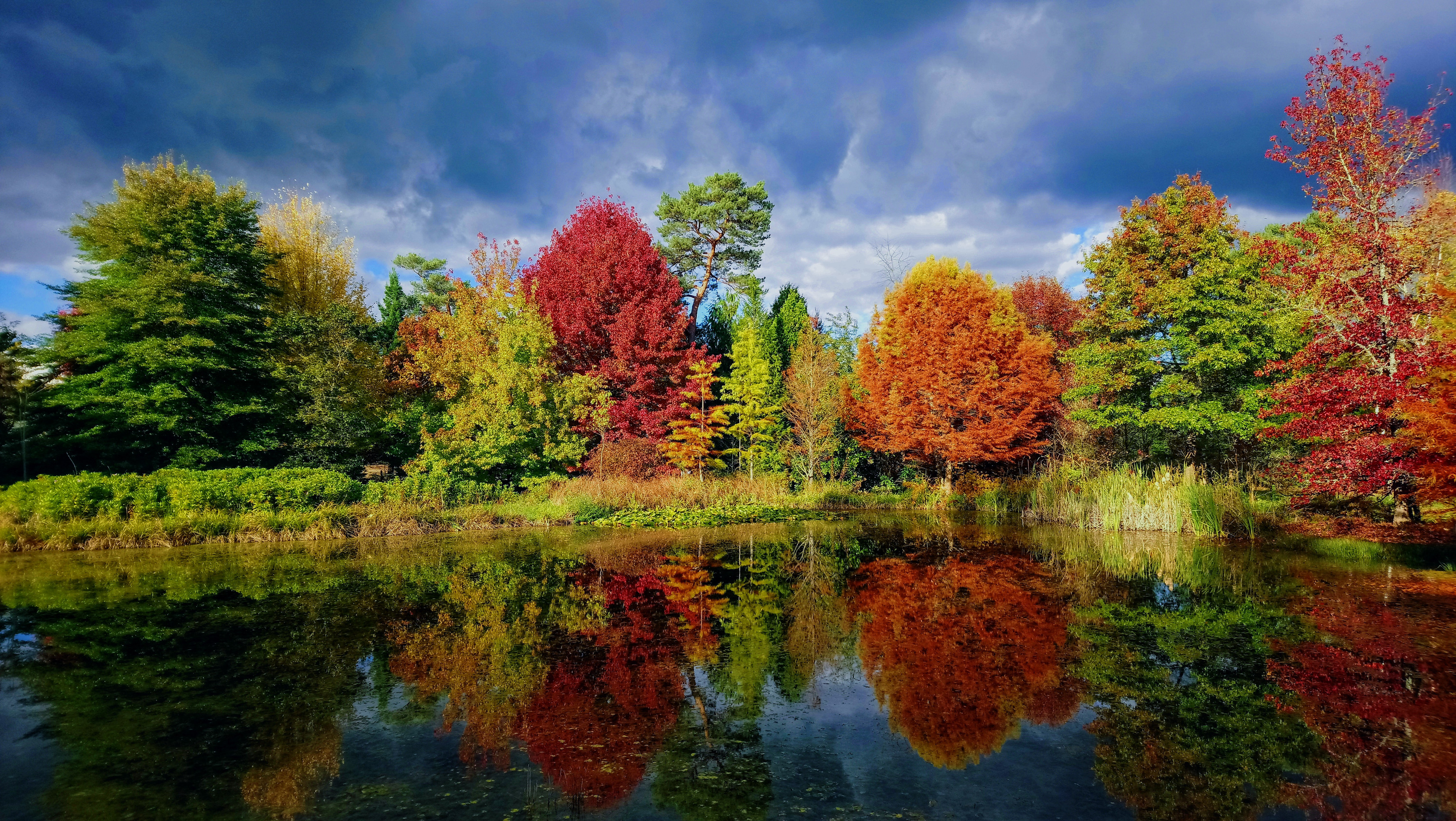 Arboretum des Grandes Bruyères, Ingrannes - photo 2