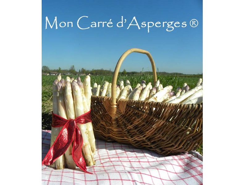 Mon carré d'asperges null France null null null null