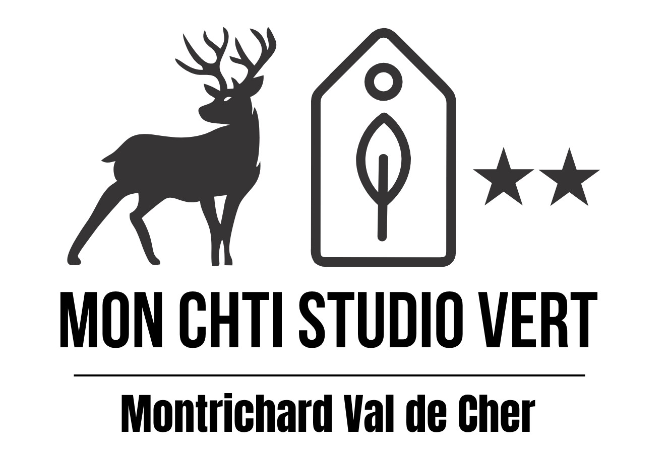 MON CHTI STUDIO VERT, Montrichard Val de Cher - photo 23