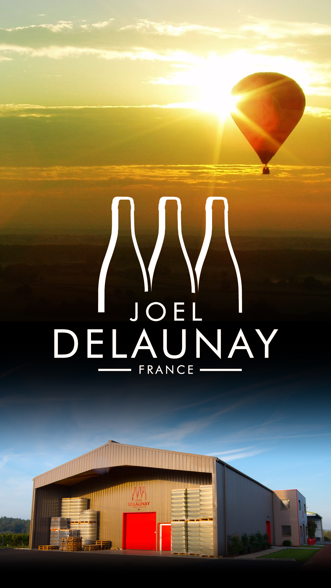 Domaine joël delaunay