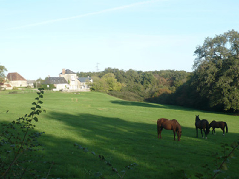 La Brenne à cheval : circuits en marguerite au départ du domaine de Montgenoux  France Centre-Val de Loire Indre Prissac 36370