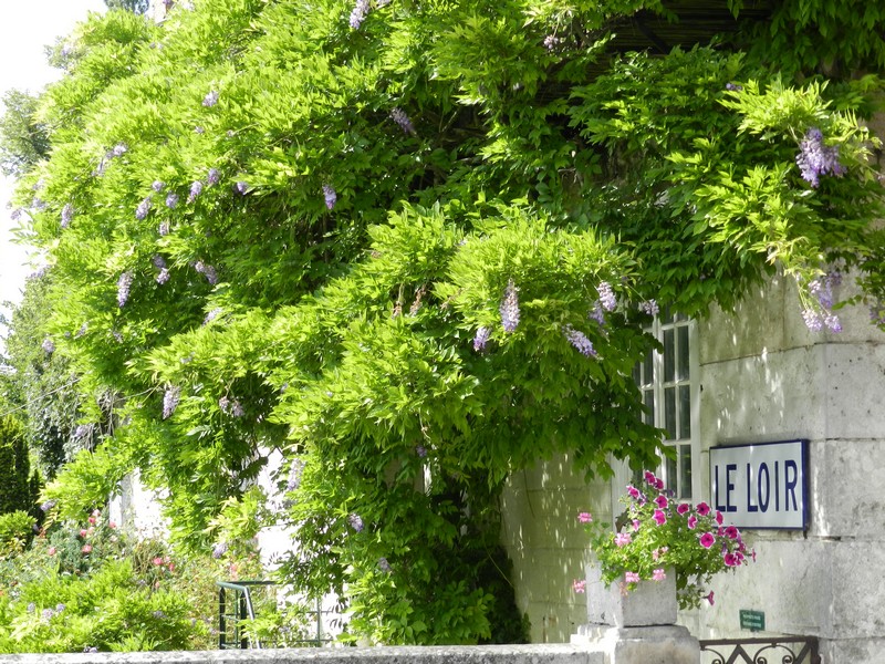 Visite de la ville de Montoire