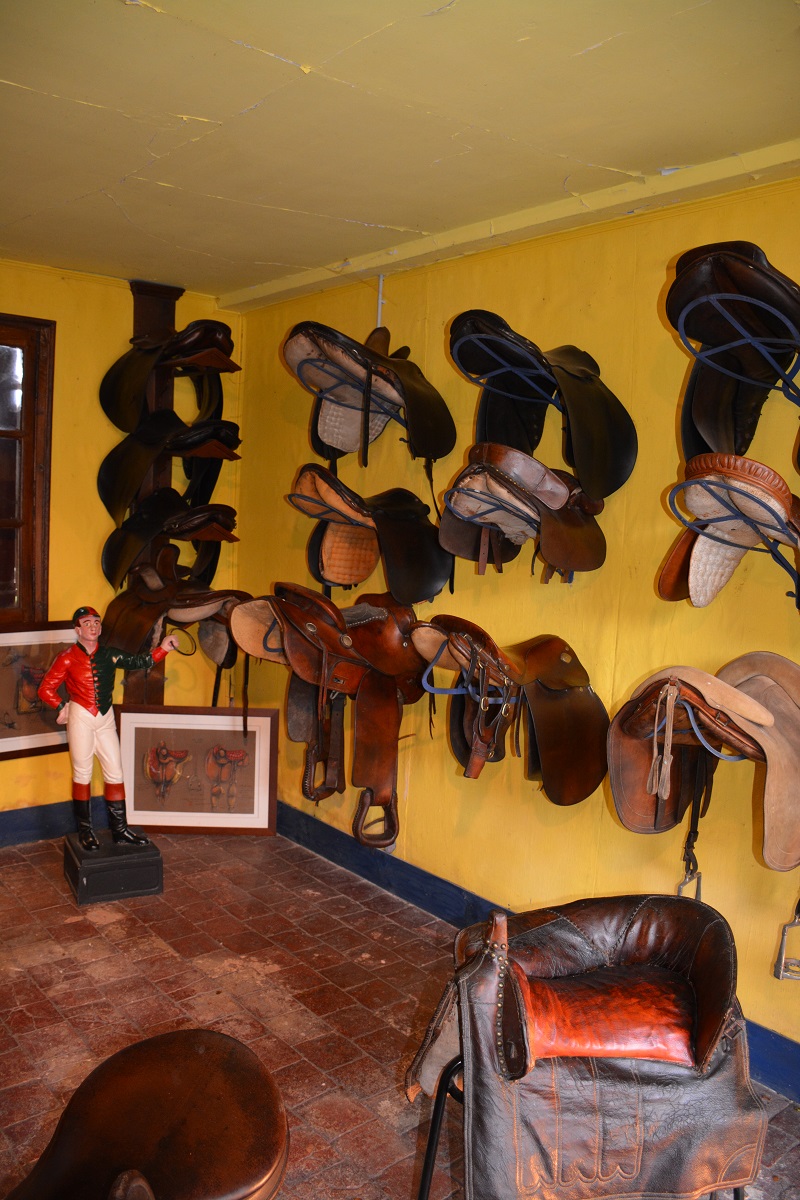 Château de Montpoupon, Céré-la-Ronde - photo 10