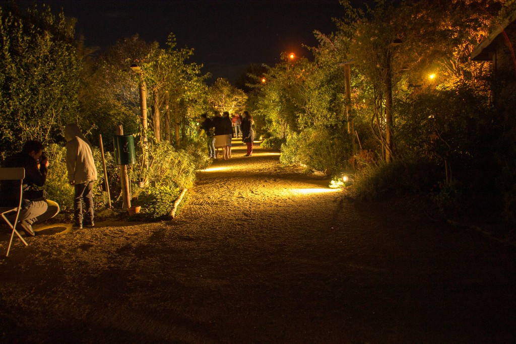Café de la roseraie de Morailles, Pithiviers-le-Vieil - photo 4