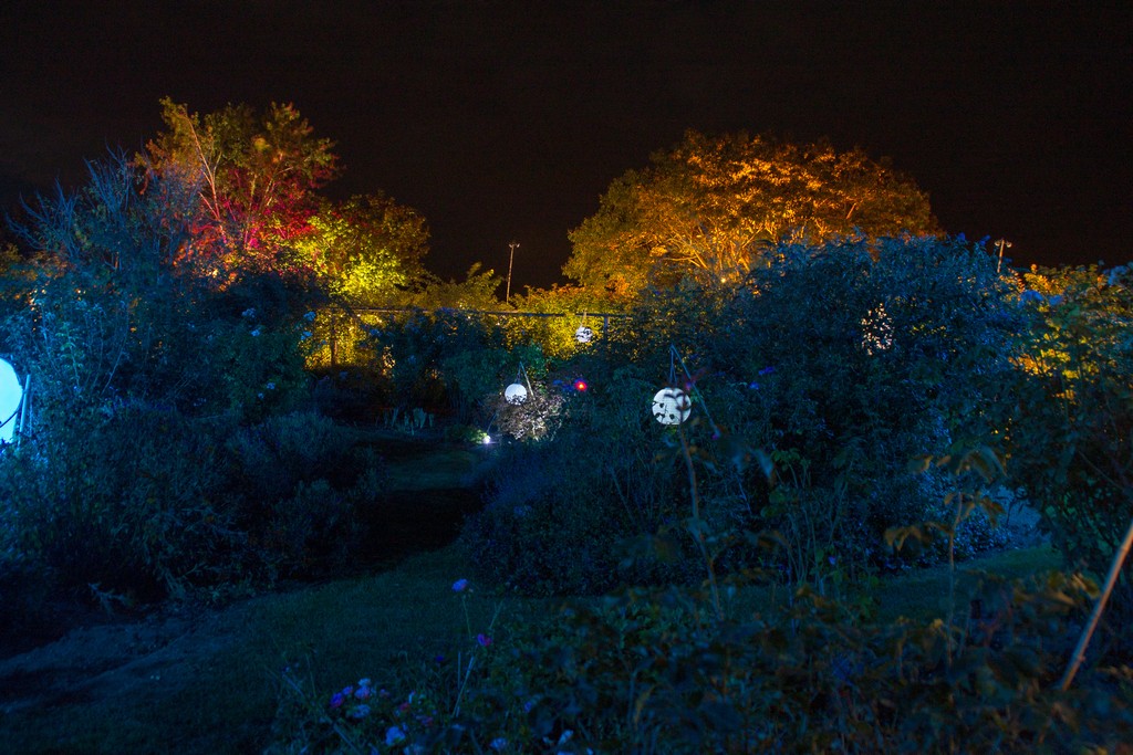 Café de la roseraie de Morailles, Pithiviers-le-Vieil - photo 2
