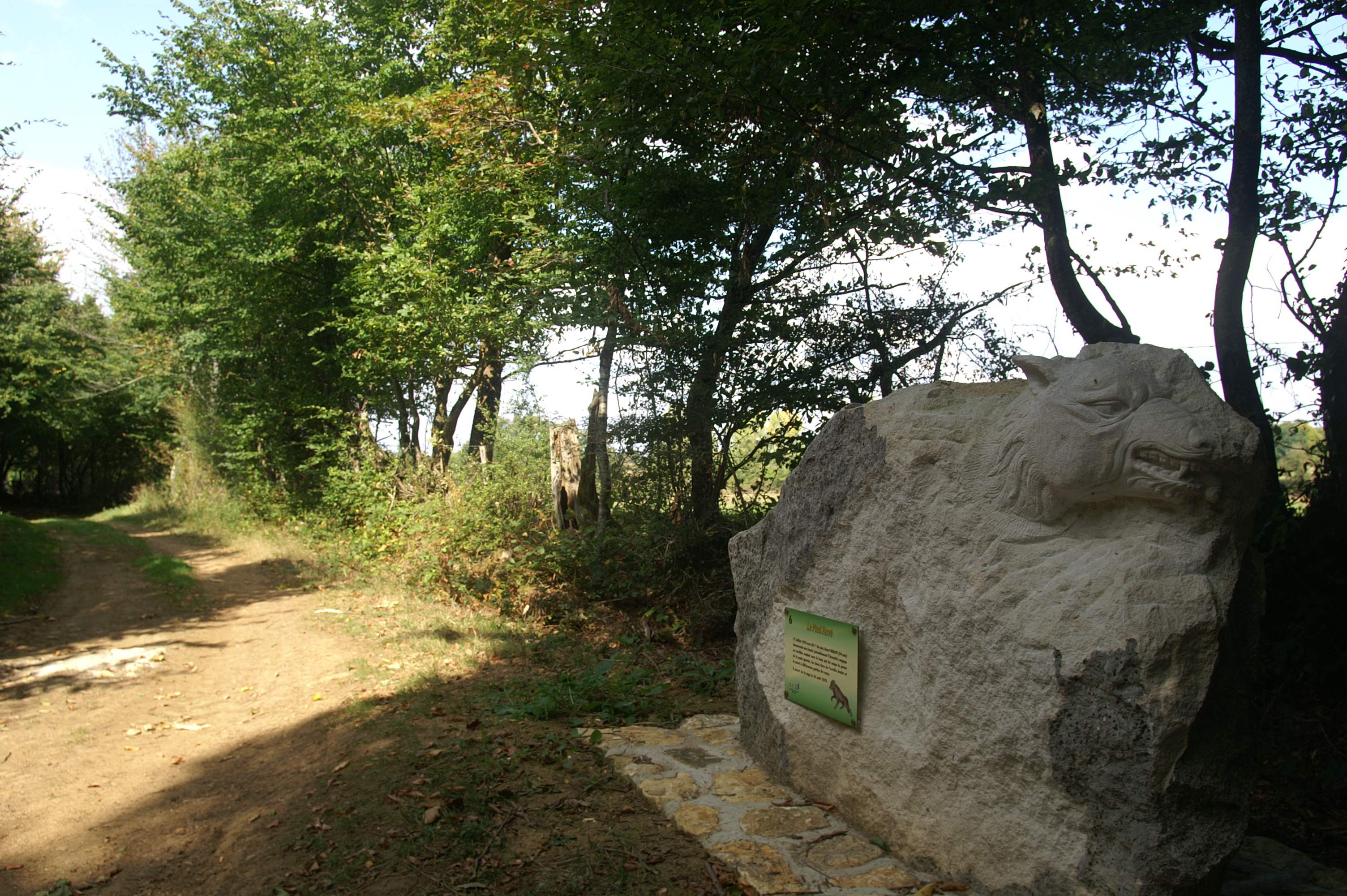 Sur les traces du Loup