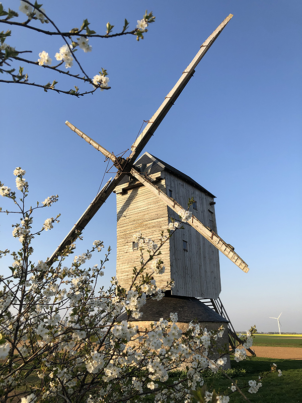 Moulin à vent "Fernand Barbier", Levesville-la-Chenard - photo 6