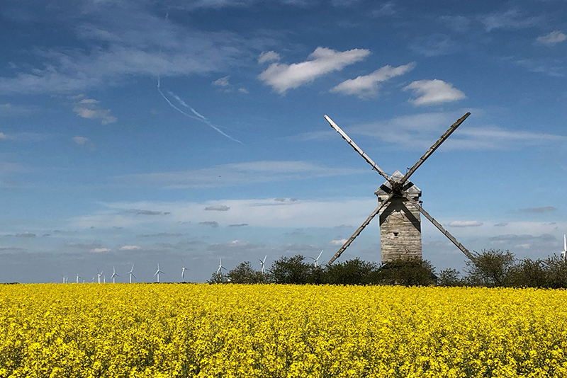 Moulin à vent "Fernand Barbier", Levesville-la-Chenard - photo 5