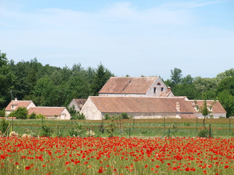 Sentier des moulins de la vallée de l'Essonne, Briarres-sur-Essonne - photo 2