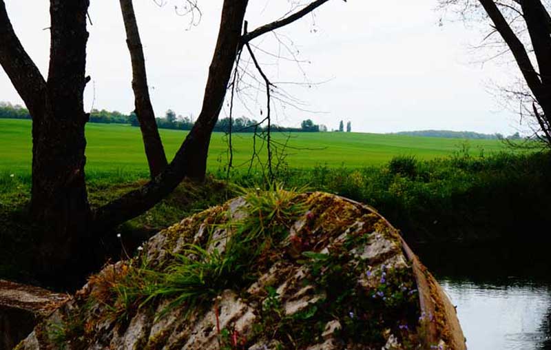Plan d'eau de Mers-sur-Indre et parcours de pêche d'Angibault à Montipouret — photo 3