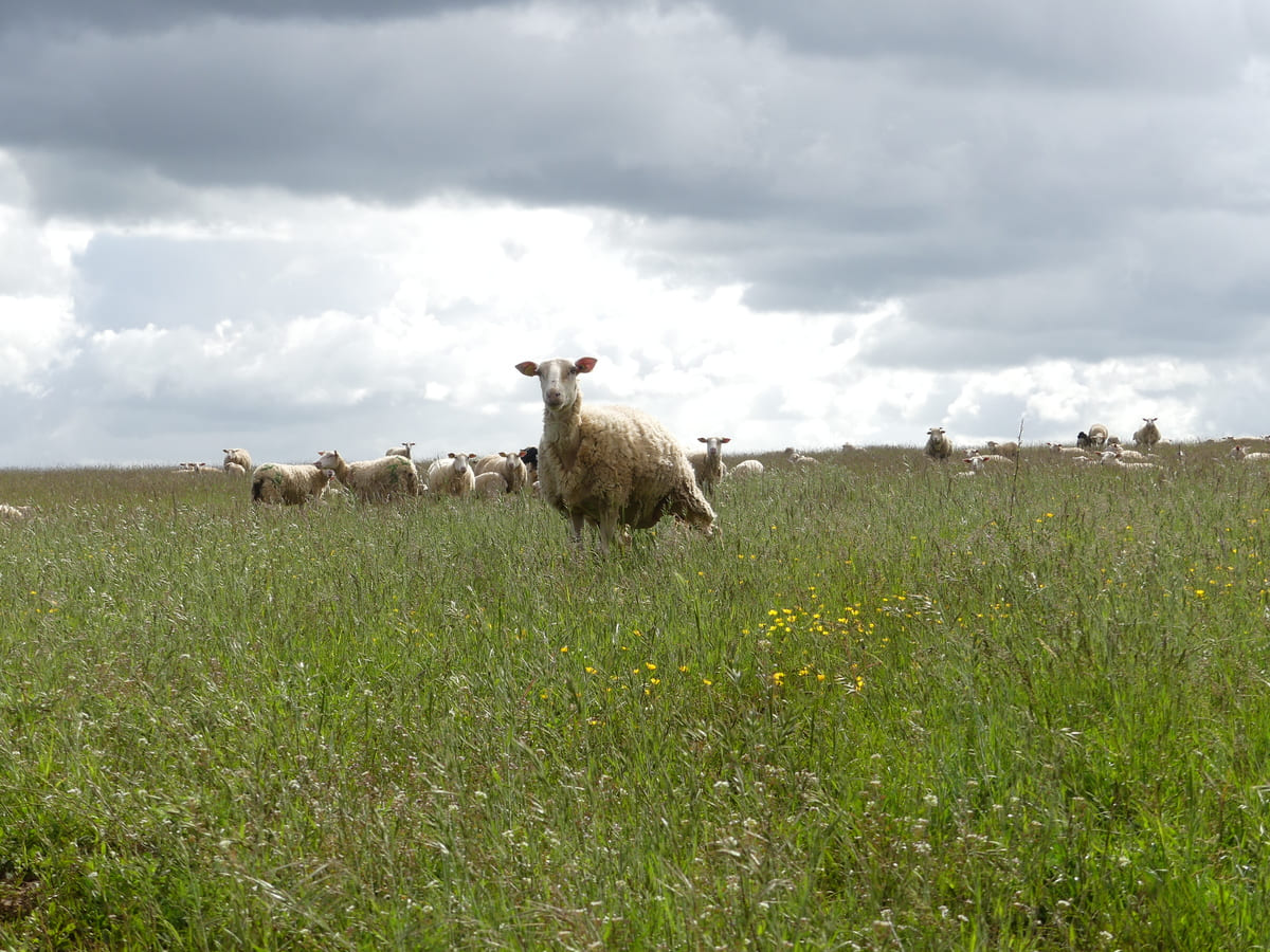 Espace Naturel Sensible des Chaumes de la Périsse
