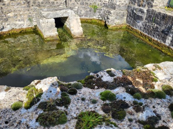 Site archéologique Aquae Segetae, Sceaux-du-Gâtinais