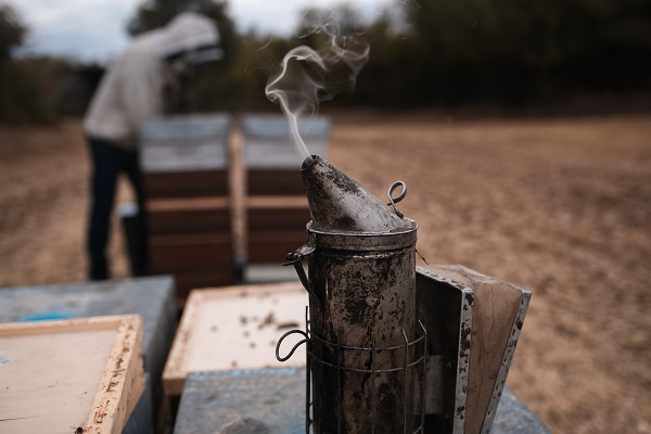 Yèvre Miel — photo 3