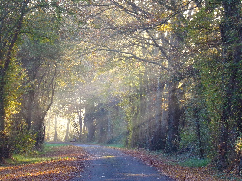 Loire à Vélo EV6 - boucle Briare / Bonny-sur-Loire / Beaulieu-sur-Loire / Châtillon-sur-Loire, Briare