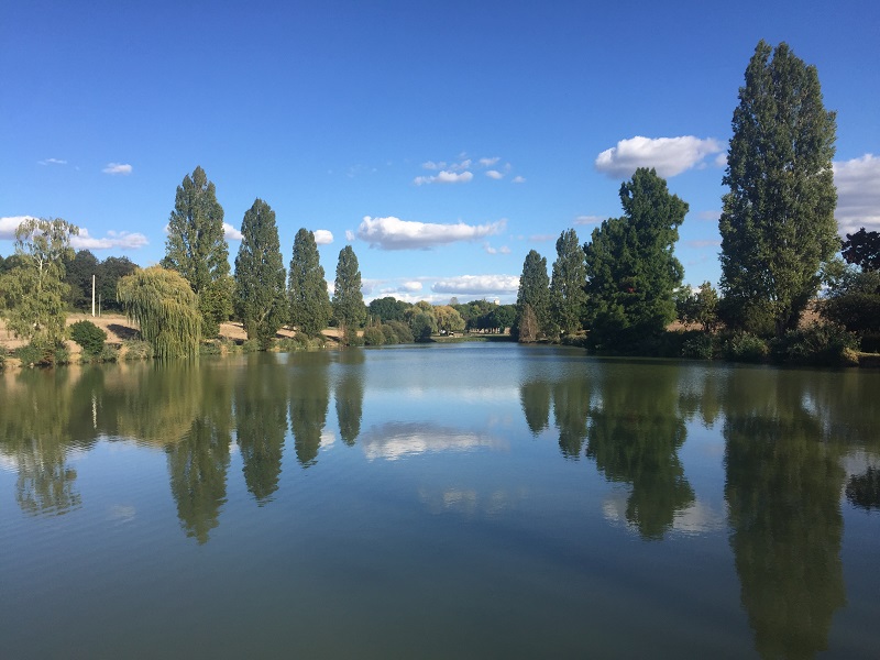 Etang des Arguillonnières